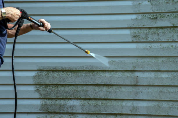 Best Sidewalk and Walkway Cleaning  in Woodville, TX